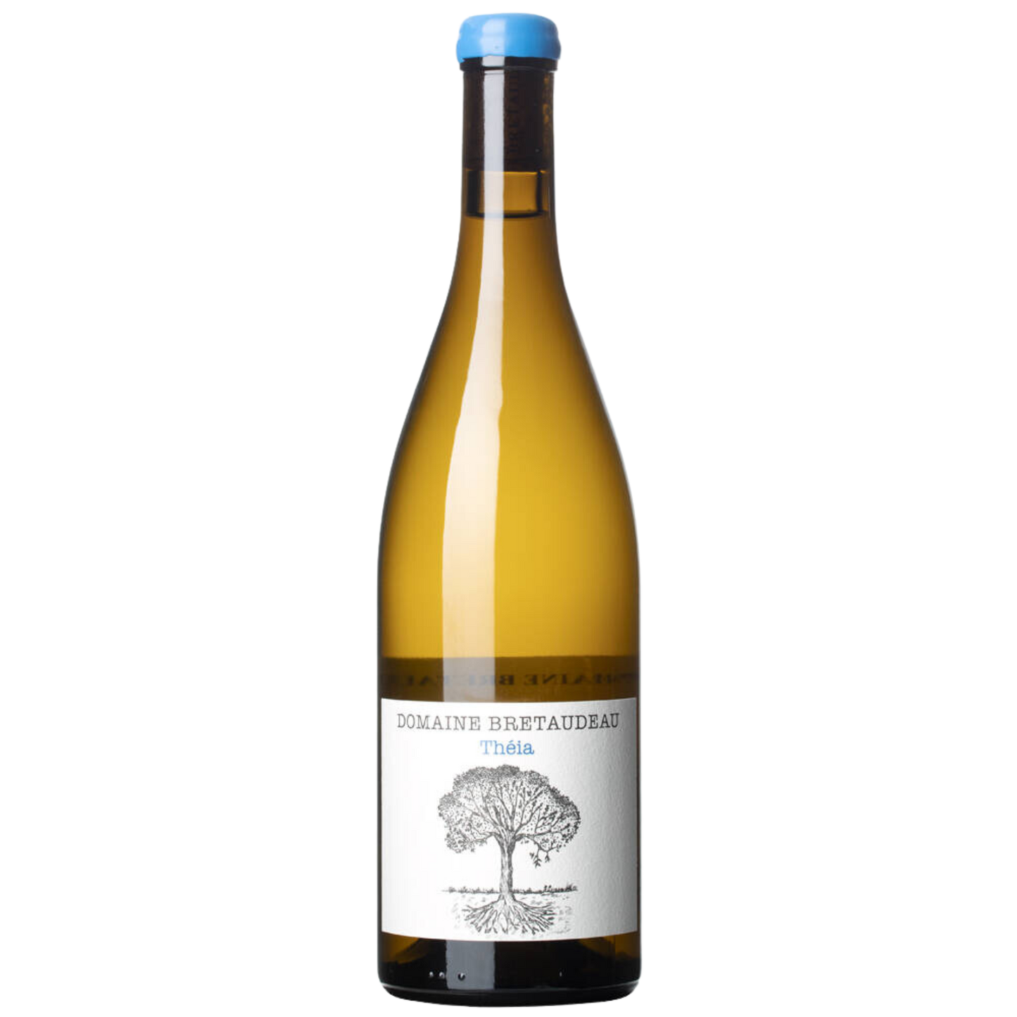 Jerome Bretaudeau Theia Muscadet Sevre-Et-Maine 24
