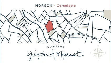 Domaine Grégoire Hoppenot Morgon Corcelette