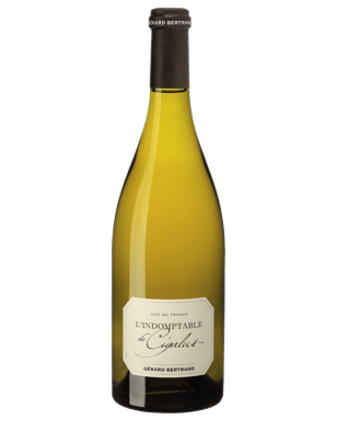 Gerard Bertrand Cigalus Blanc '23