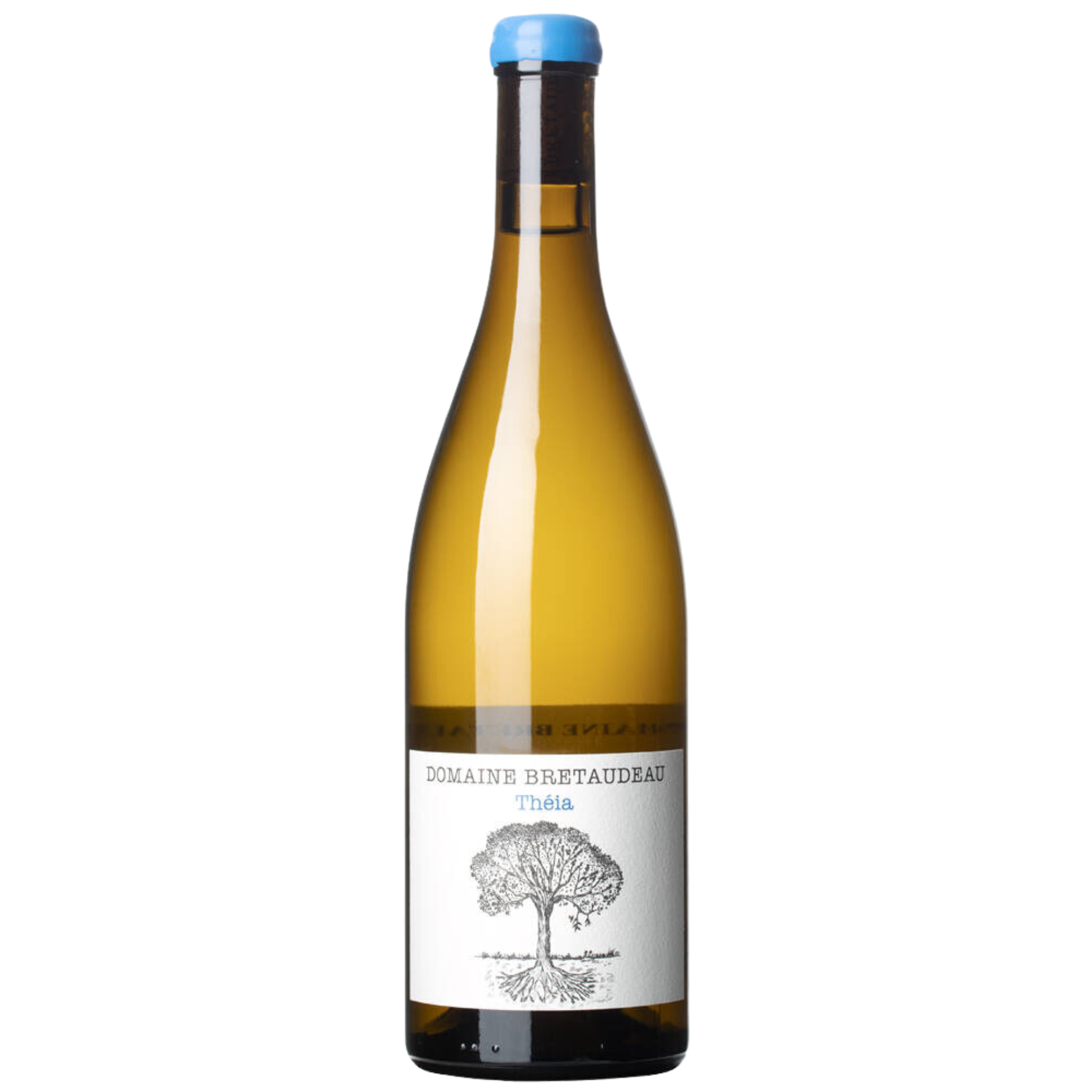 Jerome Bretaudeau Theia Muscadet Sevre-Et-Maine 24