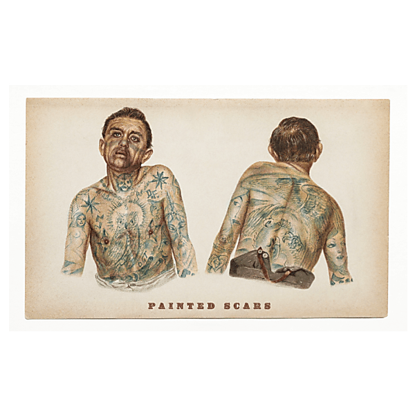 Painted Scars Red Blend Ml '21