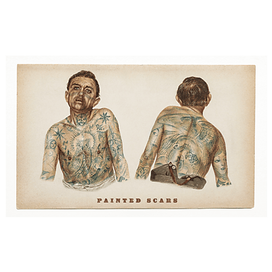 Painted Scars Red Blend Ml '21