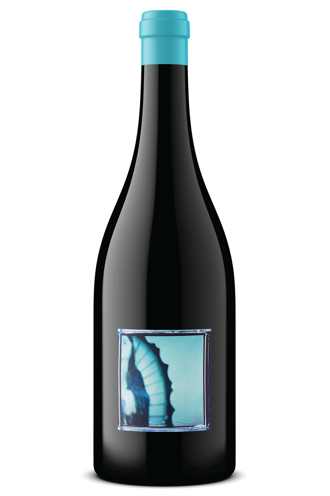 Olg Pinot Noir '22