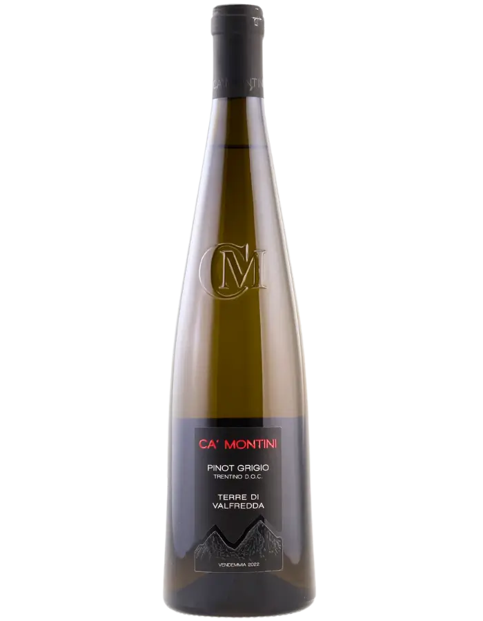 Ca Montini Pinot Grigio '24