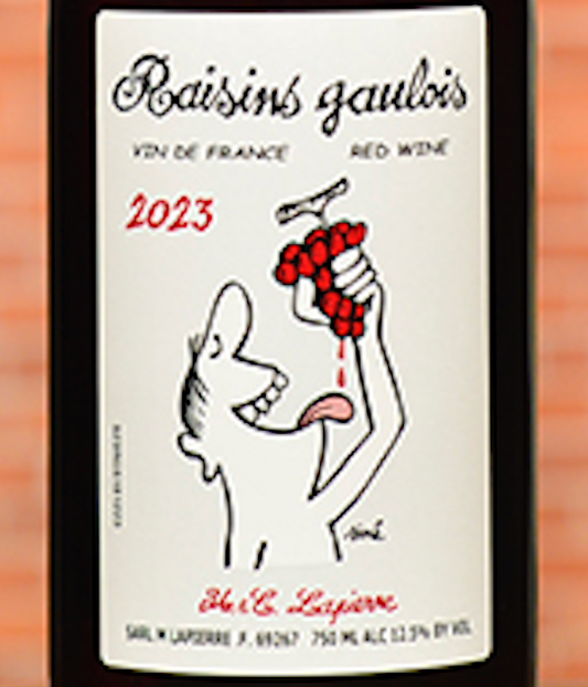 Mathieu & Camille "Raisins Gaulois" Vin de France (Beaujolais)