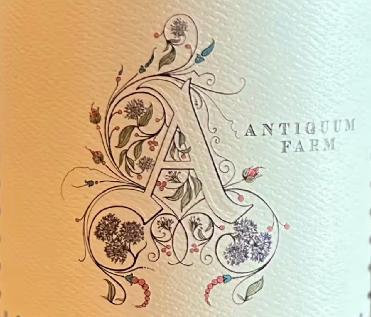 Antiqum Farm "Alium" Skin Contact Pinot Gris