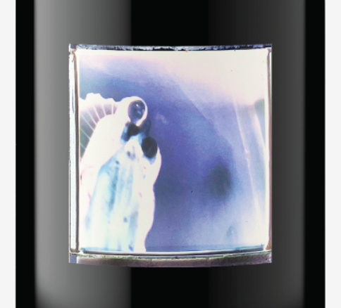 OLG Reserve Pinot Noir (Our Lady of Guadalupe Vineyard) 2023