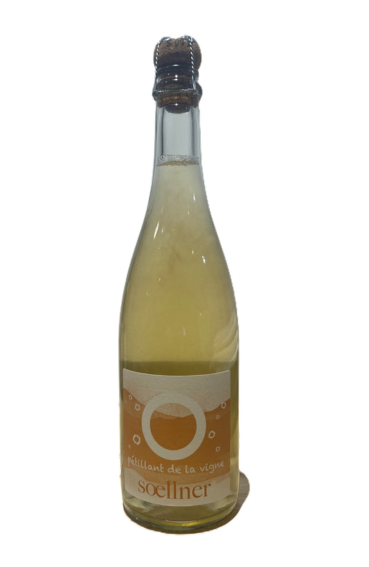 Soellner Petillant De La Vigne '23