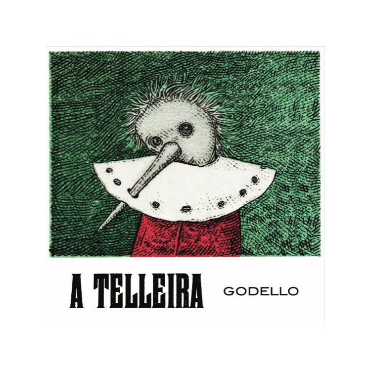 A Telleira Godello Ribeiro '25