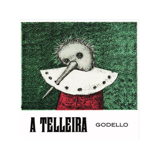 A Telleira Godello Ribeiro '25